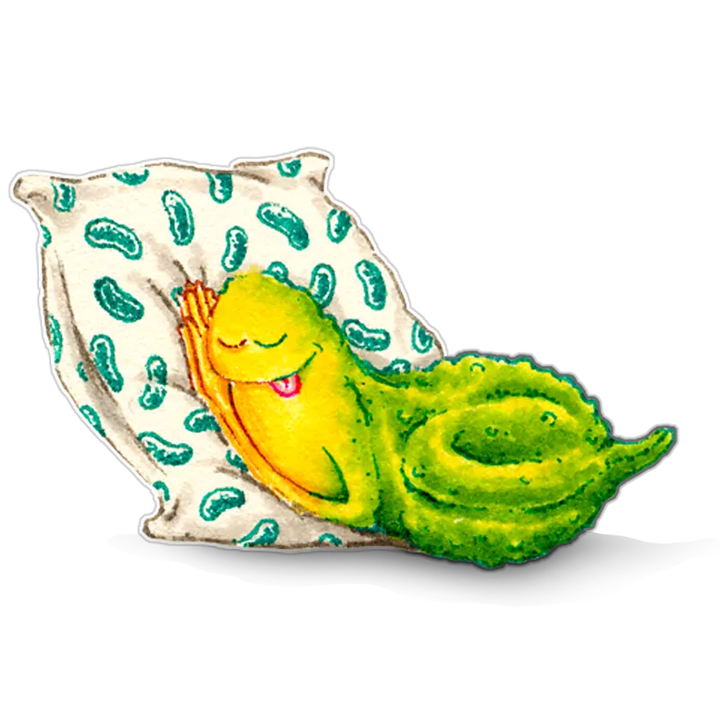 The Pickle Me Pillow
