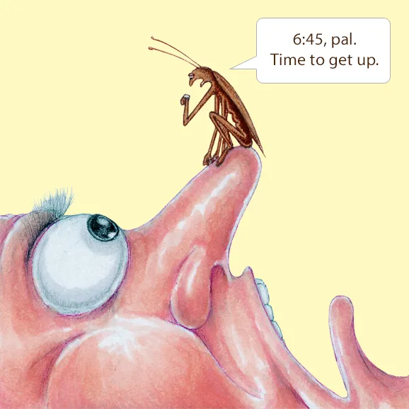 Clockroach